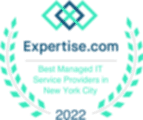 ny_nyc_managed-service-providers_2022_transparent